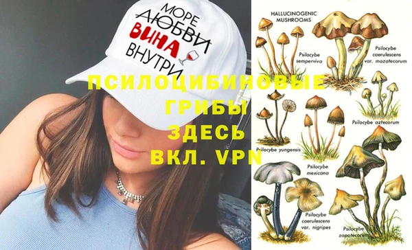 spice Армянск