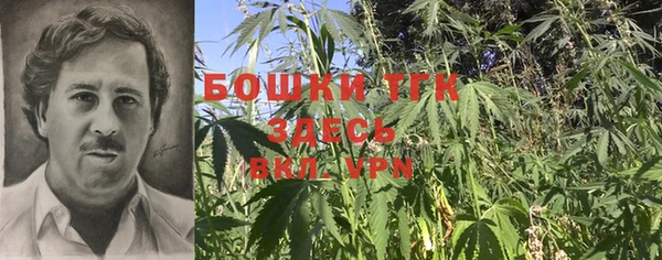 PSILOCYBIN Аркадак