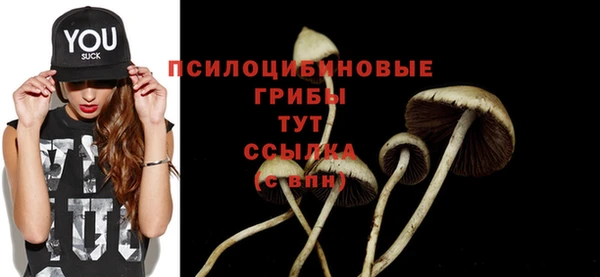 герыч Арсеньев