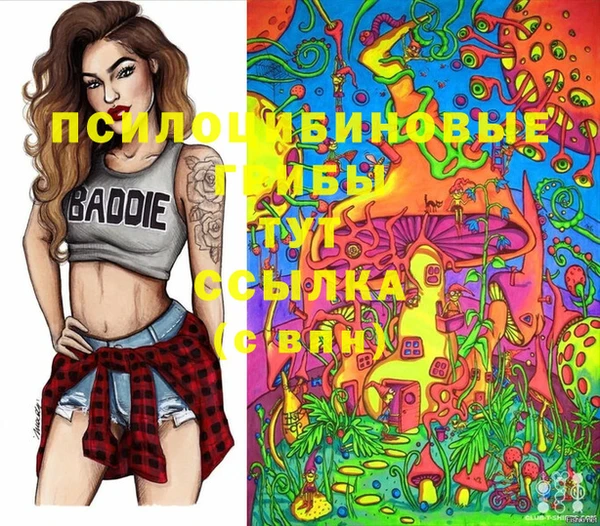герыч Арсеньев