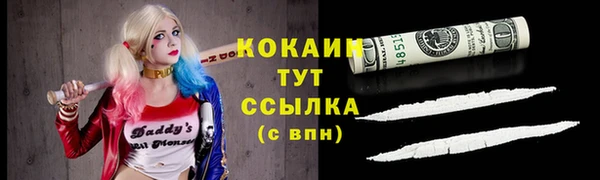 PSILOCYBIN Аркадак