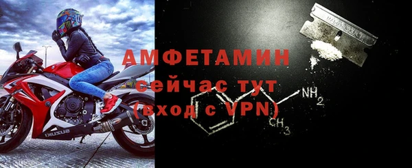 PSILOCYBIN Аркадак