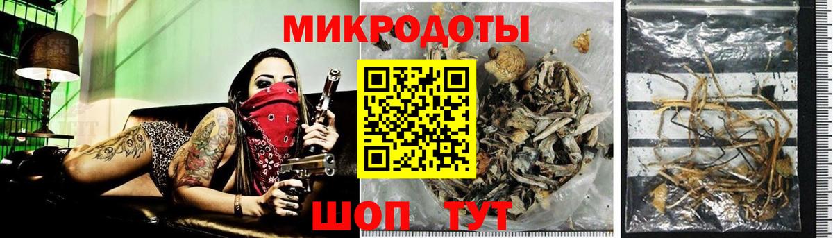 Псилоцибиновые грибы MAGIC MUSHROOMS  Псилоцибиновые грибы Psilocybe  Воркута  Вход с VPN 